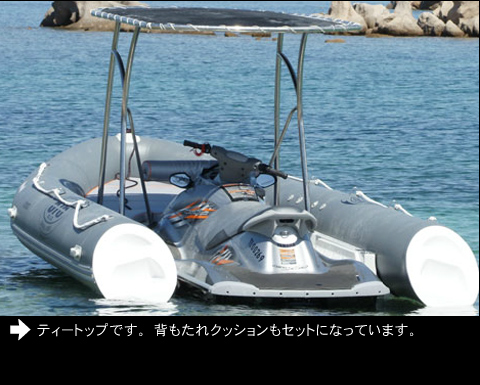 拡大写真